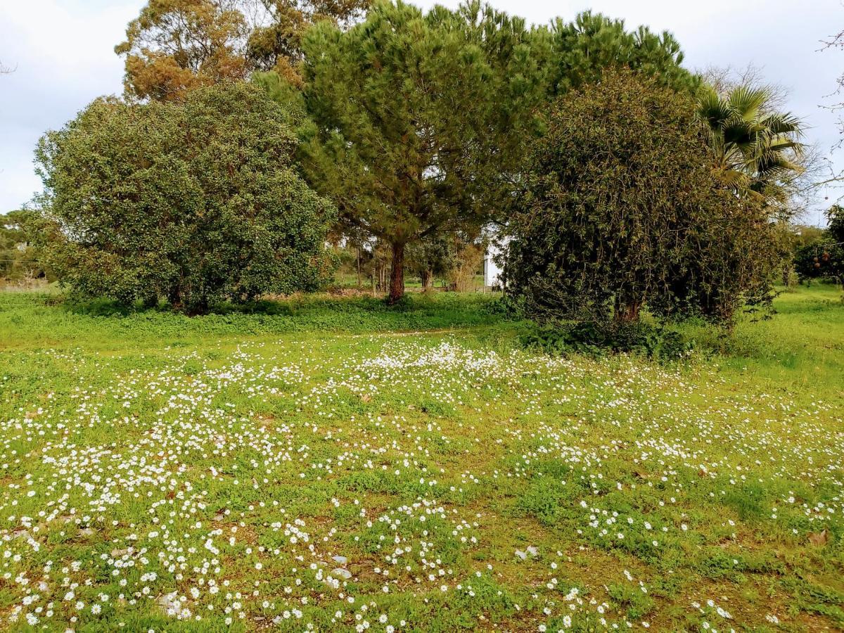 Casas Herdade Do Convento Da Serra Almeirim Dış mekan fotoğraf