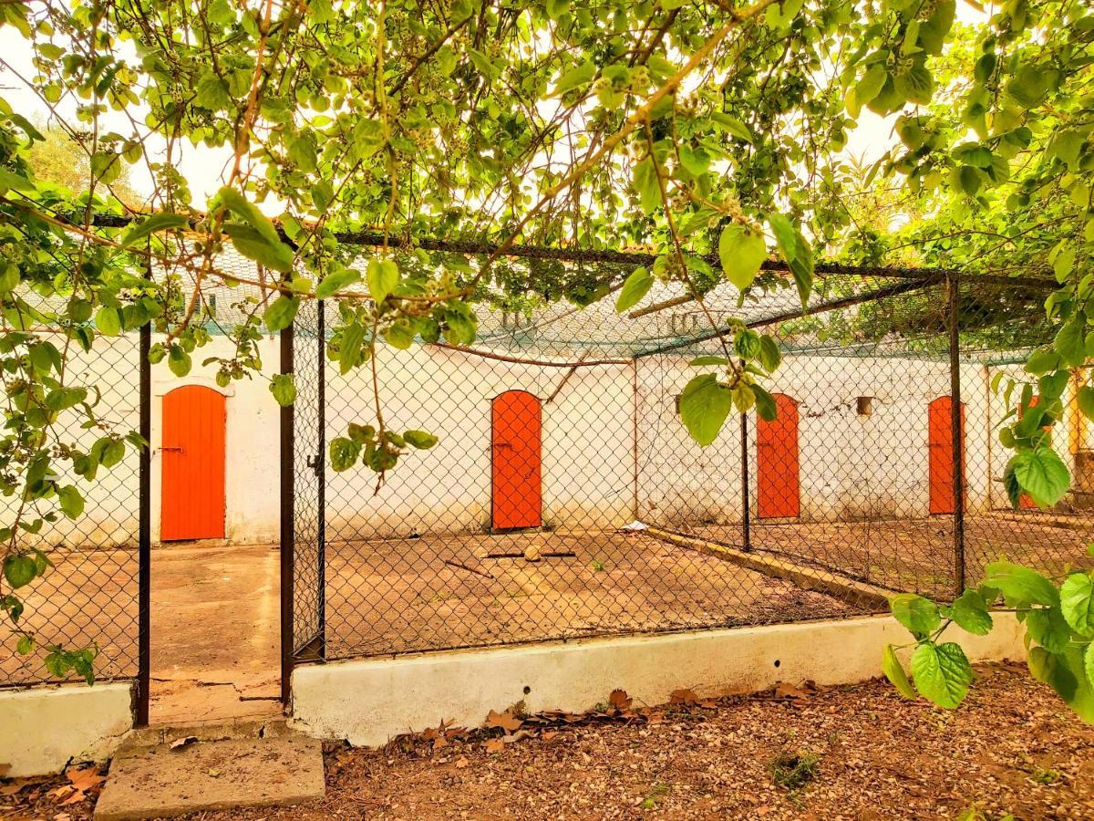 Casas Herdade Do Convento Da Serra Almeirim Dış mekan fotoğraf