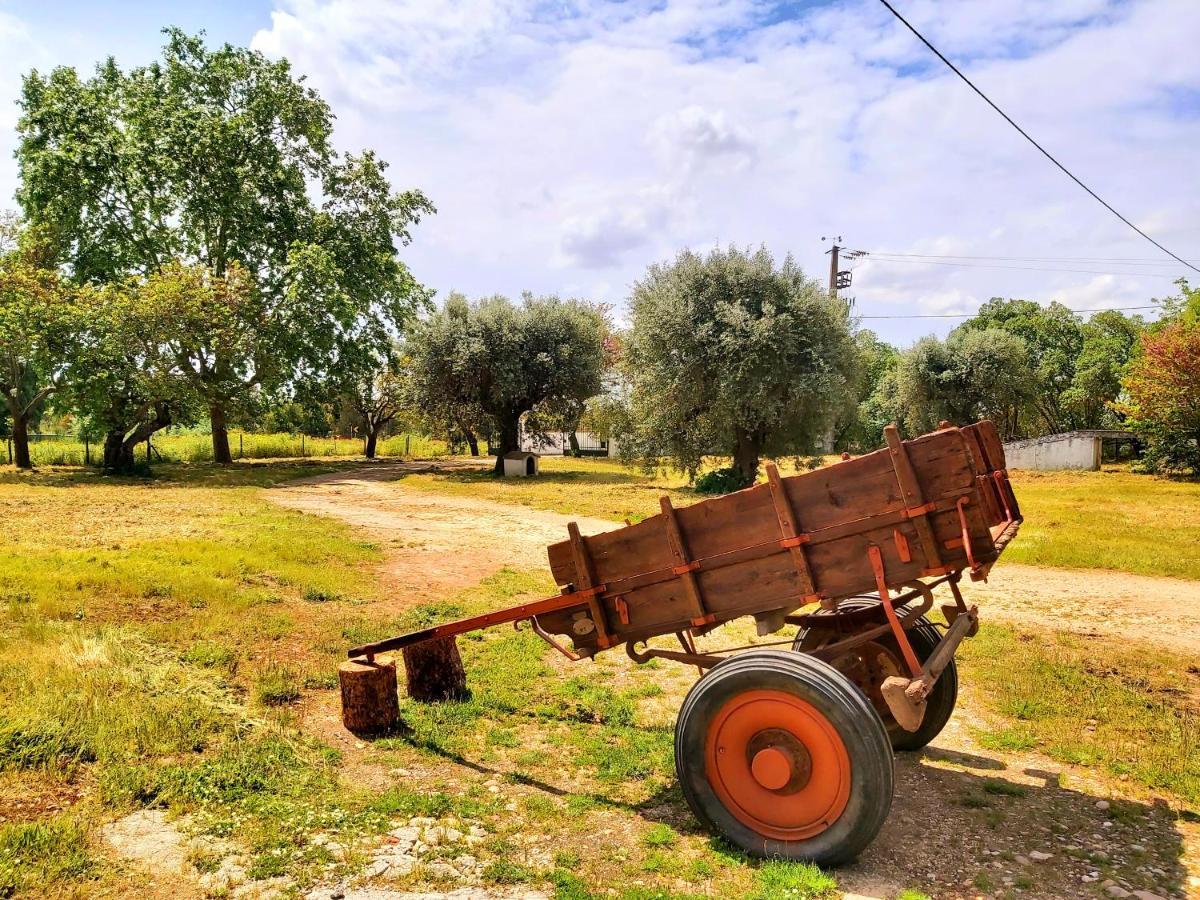 Casas Herdade Do Convento Da Serra Almeirim Dış mekan fotoğraf