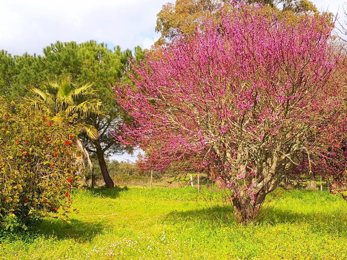 Casas Herdade Do Convento Da Serra Almeirim Dış mekan fotoğraf