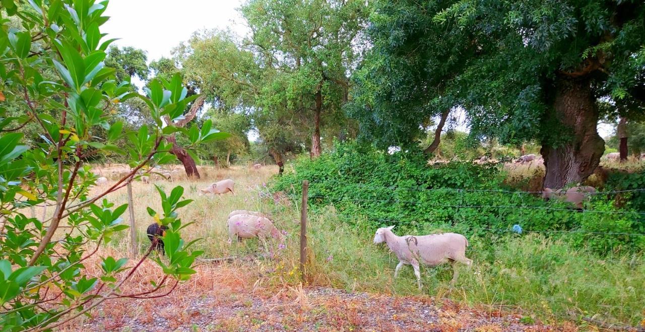 Casas Herdade Do Convento Da Serra Almeirim Dış mekan fotoğraf