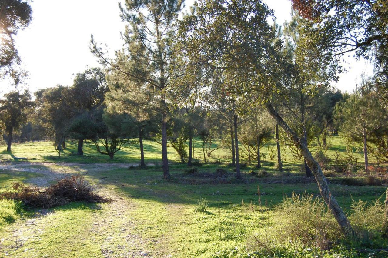 Casas Herdade Do Convento Da Serra Almeirim Dış mekan fotoğraf