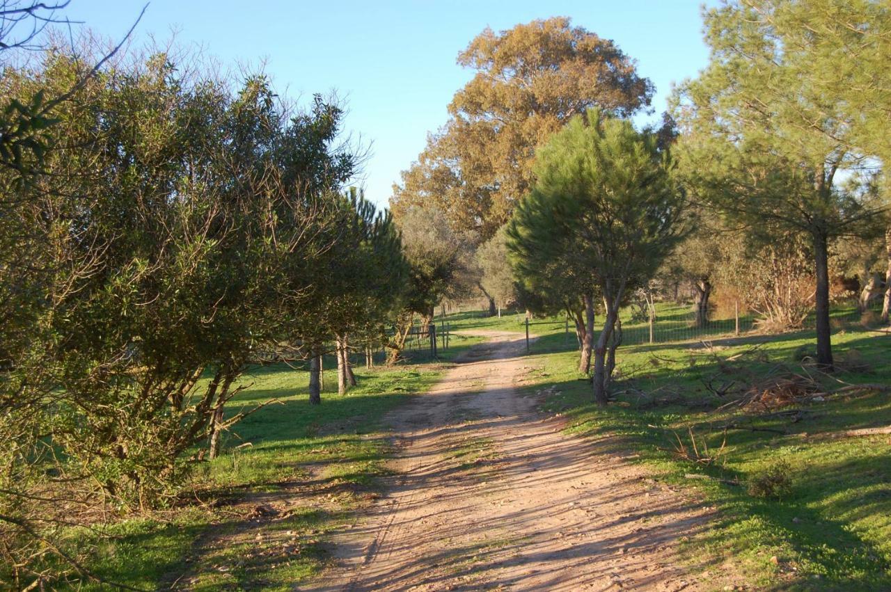 Casas Herdade Do Convento Da Serra Almeirim Dış mekan fotoğraf